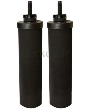 2 Filtre Berkey noir pour systèmes Berkey Liban