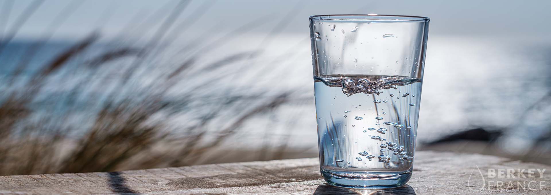 Bienvenue sur Berkey France